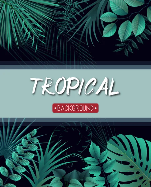 Ilustração Vetorial Fundo Folhas Tropicais Com Plantas Selva —  Vetores de Stock