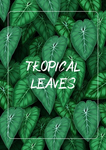 Ilustração Vetorial Fundo Folhas Tropicais Com Plantas Selva — Vetor de Stock