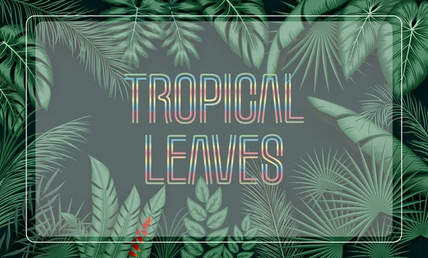 Ilustración Vectorial Del Fondo Las Hojas Tropicales Con Plantas Selva — Vector de stock