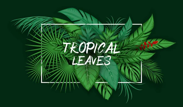 熱帯の葉のベクトル図ジャングル植物の背景 — ストックベクタ