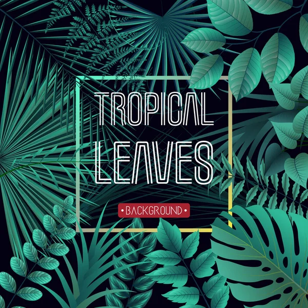 Ilustración Vectorial Del Fondo Las Hojas Tropicales Con Plantas Selva — Vector de stock