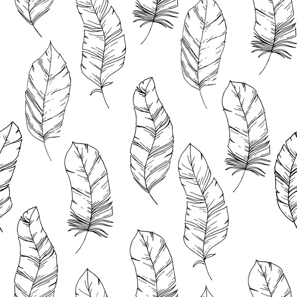 Ручной рисунок бесшовный с птичьими перьями в стиле Sketch. Черно-белый заголовок фона. Тренди Фалло шик, племенной соблазн — стоковый вектор
