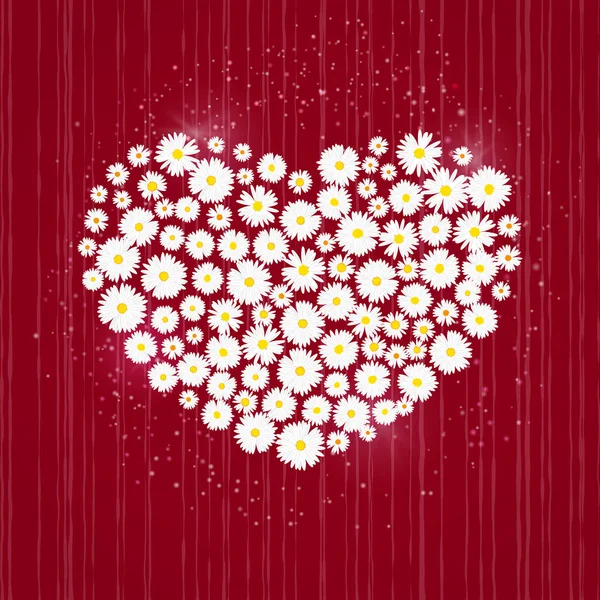 Tarjeta de San Valentín del corazón. Margaritas blancas sobre fondo rojo. Plantilla de tarjeta de invitación de boda, concepto de amor. Cartel festivo del 14 de febrero. Ilustración vectorial — Vector de stock