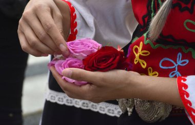 Bulgar petrol gül Bulgaristan