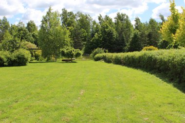 sabah gökyüzü doğa yaz