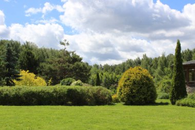 sabah gökyüzü doğa yaz