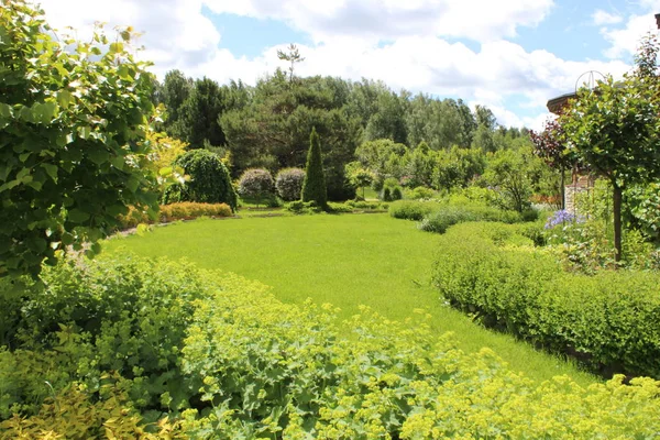 Morgen Himmel Natur Sommer — Stockfoto