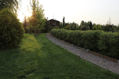 Gökyüzüne karşı çiçekler 