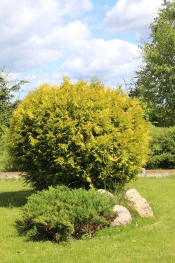 Yaz, gökyüzü, çiçekler, parkta su yürüyüşü bir sürü güzellik.