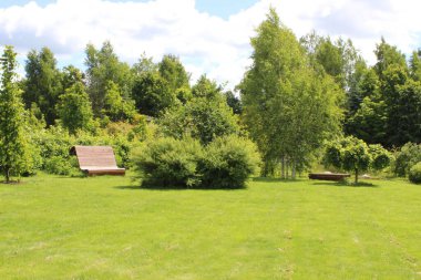 Yaz, gökyüzü, çiçekler, parkta su yürüyüşü bir sürü güzellik.