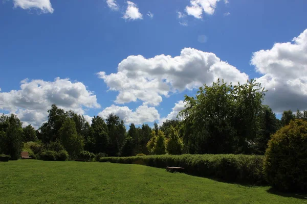 summer, sky, flowers, water walk in the park a lot of beauty