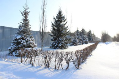 Güzel bir geçmişi olan kış doğası.