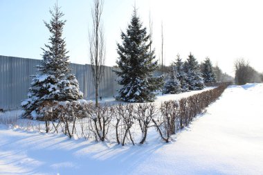 Güzel bir geçmişi olan kış doğası.