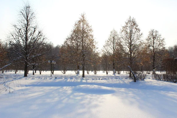 Natura Invernale Con Bellissimi Sfondi — Foto Stock