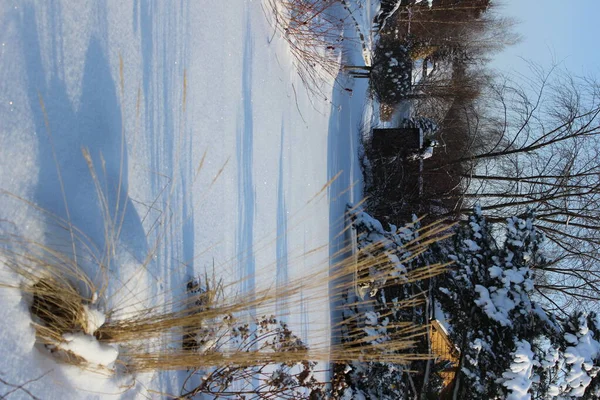 Naturaleza Invierno Con Hermosos Fondos — Foto de Stock