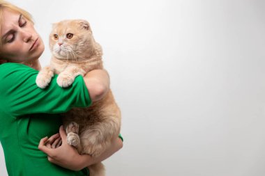 Çekici bir kadının stüdyo portresi. Diş telleri elinde, beyaz bir arka planda kediyi tutan.
