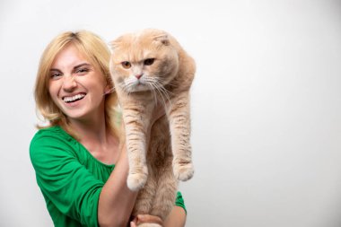 Çekici bir kadının stüdyo portresi. Diş telleri elinde, beyaz bir arka planda kediyi tutan.