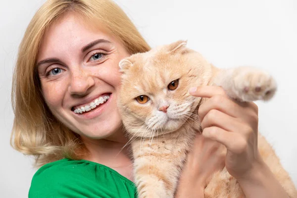 Çekici bir kadının stüdyo portresi. Diş telleri elinde, beyaz bir arka planda kediyi tutan.