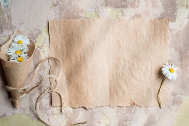 Papatya sulak kompozisyon Kraft kağıt, yaz kavramı üzerinde. eski defter yazıt sayfası. Kopya alanı, üstten görünüm