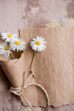 Papatya sulak kompozisyon Kraft kağıt, yaz kavramı üzerinde. eski defter yazıt sayfası. Kopya alanı, üstten görünüm