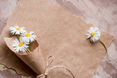 Papatya sulak kompozisyon Kraft kağıt, yaz kavramı üzerinde. eski defter yazıt sayfası. Kopya alanı, üstten görünüm