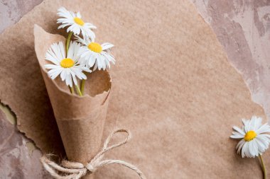 Papatya sulak kompozisyon Kraft kağıt, yaz kavramı üzerinde. eski defter yazıt sayfası. Kopya alanı, üstten görünüm