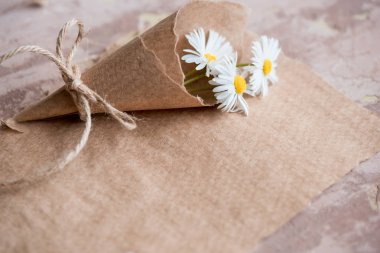 Papatya sulak kompozisyon Kraft kağıt, yaz kavramı üzerinde. eski defter yazıt sayfası. Kopya alanı, üstten görünüm