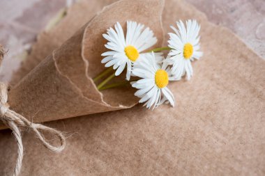 Papatya sulak kompozisyon Kraft kağıt, yaz kavramı üzerinde. eski defter yazıt sayfası. üstten görünüm
