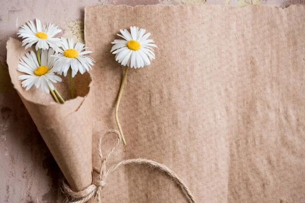 Papatya sulak kompozisyon Kraft kağıt, yaz kavramı üzerinde. eski defter yazıt sayfası. Kopya alanı, üstten görünüm