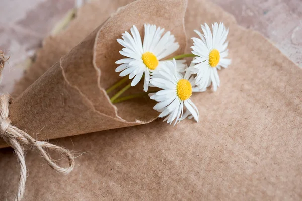Papatya sulak kompozisyon Kraft kağıt, yaz kavramı üzerinde. eski defter yazıt sayfası. üstten görünüm