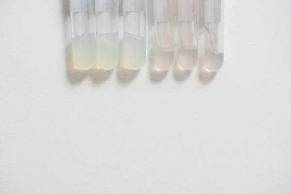 Microbiological Medical Pipette Medical Test Tubes Genetic Laboratory — Stock Photo, Image