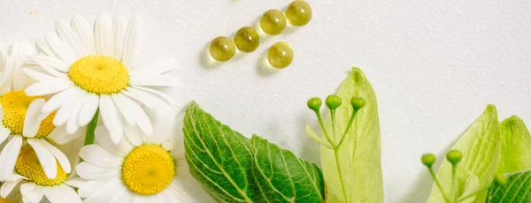 Beyaz kraft klubke, yeşil yaprak şifalı bitkiler, homeopatik ilaç tablet. Yaprak çiçek ve meyve linden, papatya çiçeği. Vitamini ek bakım, tedavi, tedavi için. — Stok fotoğraf