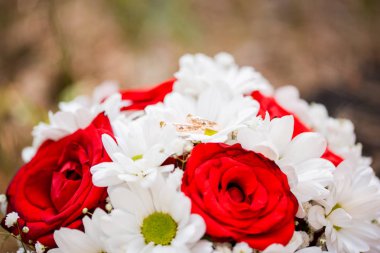 Ormanın içinde kırmızı beyaz buket düğün. Alyans renkler üzerinde.