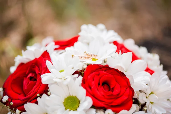 Ormanın içinde kırmızı beyaz buket düğün. Alyans renkler üzerinde.
