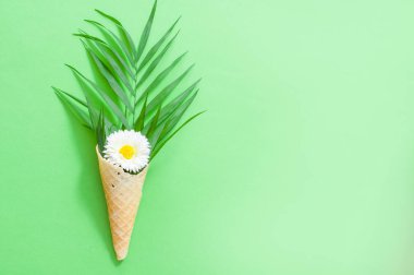 Ev yapımı kozmetik malzemeler görüntüsü. Aroma tema. krem, yeşil arka planda bir gözleme koni, bir papatya çiçek ve tropikal yaprak yeşil yüz. Düz stil yatıyordu, spase Kopyala