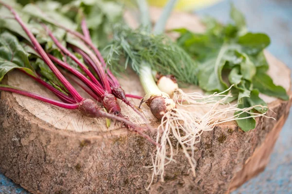 수확된 Beetroots 라운드의 — 스톡 사진