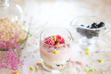 Granola, kurutulmuş meyve ve fındık Biyografi en sağlıklı tohum ile ev yapımı yoğurt.