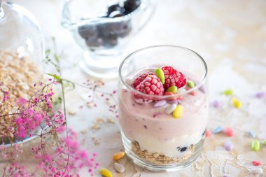 Granola, kurutulmuş meyve ve fındık Biyografi en sağlıklı tohum ile ev yapımı yoğurt