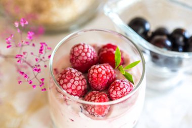 Granola, kurutulmuş meyve ve fındık Biyografi en sağlıklı tohum ile ev yapımı yoğurt