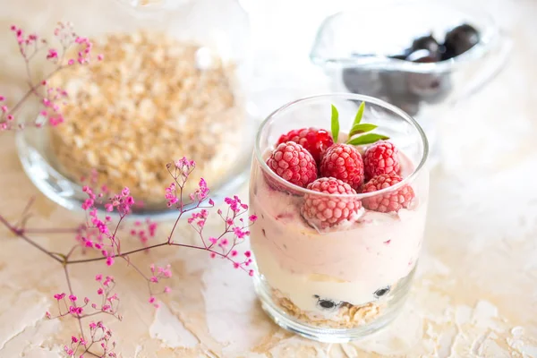 Granola, kurutulmuş meyve ve fındık Biyografi en sağlıklı tohum ile ev yapımı yoğurt