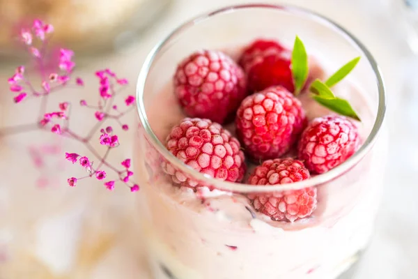 Granola, kurutulmuş meyve ve fındık Biyografi en sağlıklı tohum ile ev yapımı yoğurt