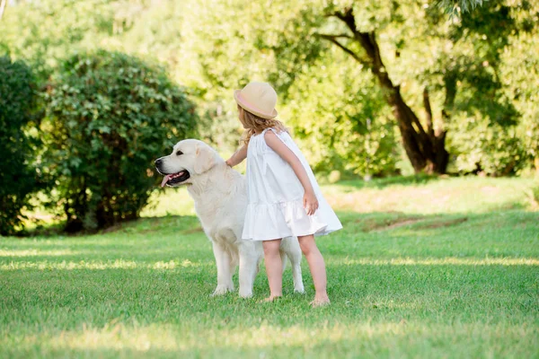 Sevimli sarışın kız ile bir yaz güneşli parkta beyaz büyük rottweiler köpek mavi gözlü. Dostluk kavramı