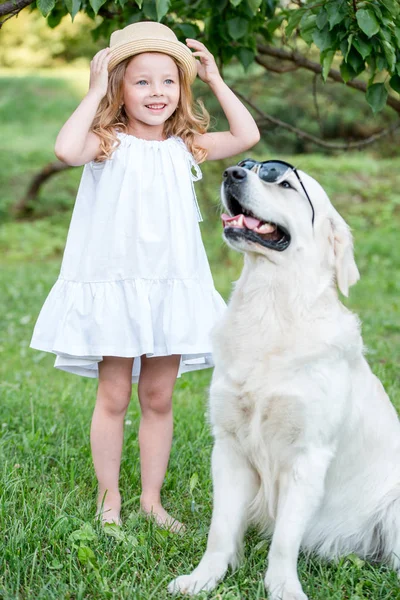 güneş gözlüğü ve sevimli sarışın kız parkta açık havada beyaz elbiseli komik büyük köpek