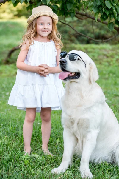 güneş gözlüğü ve sevimli sarışın kız parkta açık havada beyaz elbiseli komik büyük köpek