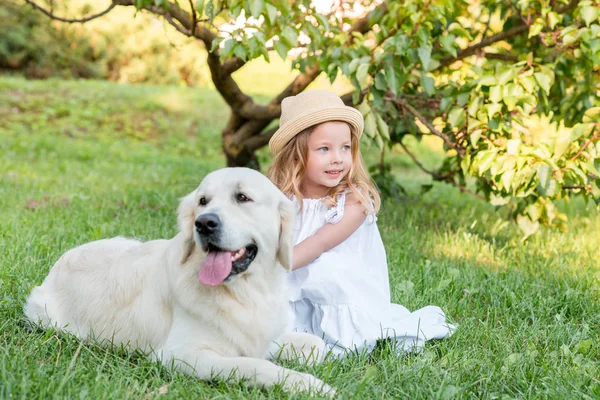 Büyük beyaz bir köpek parkta küçük kız. Beyaz elbiseli güzel bir 5 yaşındaki kız favori köpeğini yaz yürüyüş sırasında hugs.