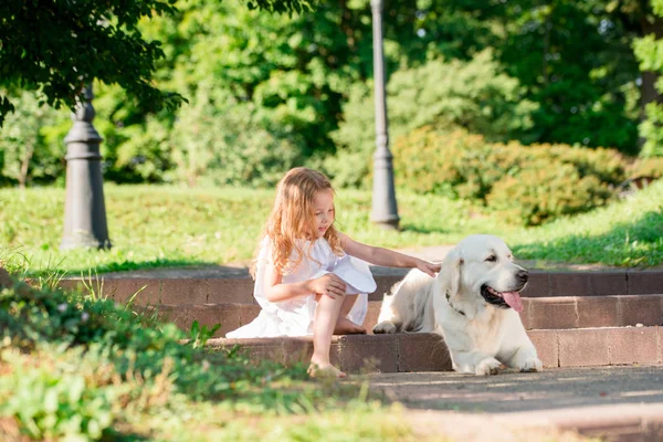 Büyük beyaz bir köpek parkta küçük kız. Beyaz elbiseli güzel bir 5 yaşındaki kız favori köpeğini yaz yürüyüş sırasında hugs.