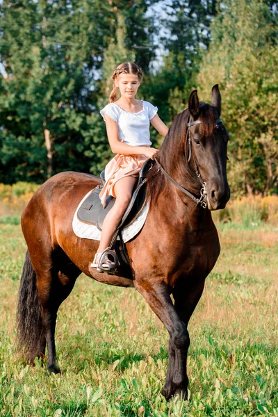 Фото Молодой Красивой Девушки Верхом Лошади — стоковое фото