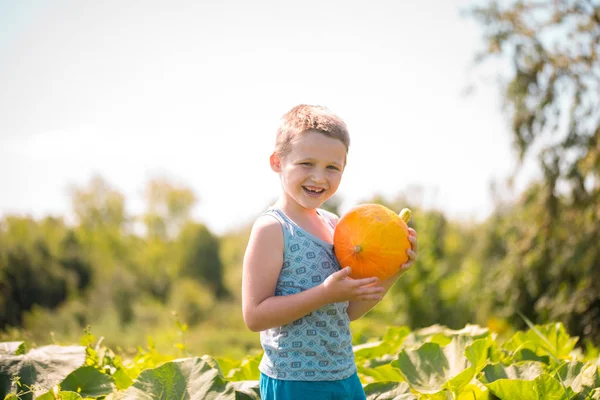 Ragazzino Con Zucca Mano Seduto Sull Orto — Foto Stock