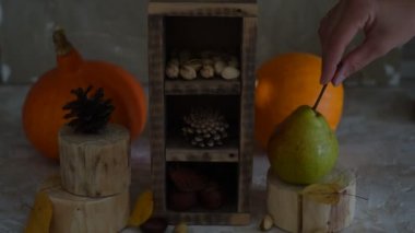 Kabak, Squash. Mutlu Şükran günü ahşap masa artalanını kabak ile dekore edilmiş, Mısır tarak, mumlar ve sonbahar yaprakları garland. Tatil sonbahar festivalde sahne, sonbahar, hasat. Dolu Hd 1080p video