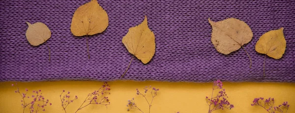 Long banner. Purple knitted texture. purple clothes and purple dry yellow flowers and leaves. autumn concept